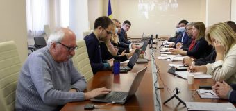 A fost prezentat raportul auditului administrării fondului forestier de către „Moldsilva”