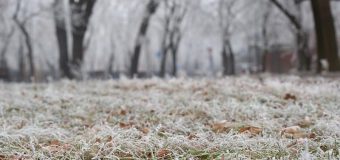 O nouă avertizare meteorologică: În următoarele zile se prognozează înghețuri