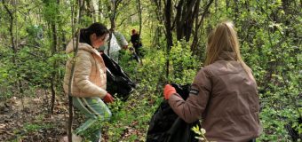 Circa 800 de persoane au participat sâmbătă la acțiunea de masă pentru salubrizarea teritoriului capitalei