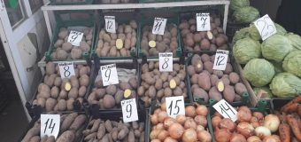 (GAELRIE FOTO) La piață au apărut primii cartofi, frunze de vie, usturoi, bostănei și cireșe. Ce prețuri au