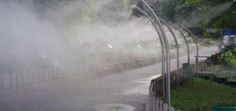 Acces gratuit pentru copiii până la 16 ani la Grădina Zoologică din 1 iunie