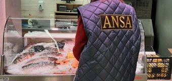 (FOTO) ANSA verifică calitatea peștelui proaspăt, congelat și refrigerat