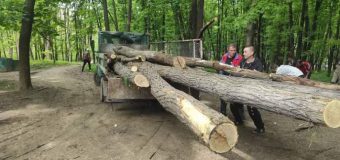 APP: Terenul din apropierea izvorului Tamara din Parcul „Valea Morilor” este în proprietatea Consiliului Municipal Chișinău