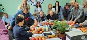 (FOTO) Inspectorii ANSA – instruiți cum să evalueze conformitatea fructelor proaspete