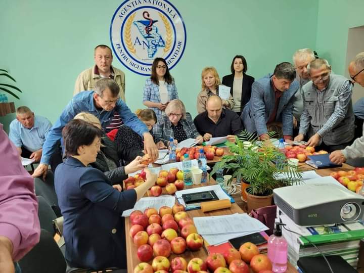 (FOTO) Inspectorii ANSA – instruiți cum să evalueze conformitatea fructelor proaspete