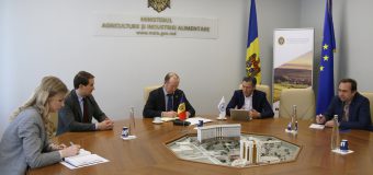 FAO este disponibil să susțină sectorul agroalimentar din R. Moldova