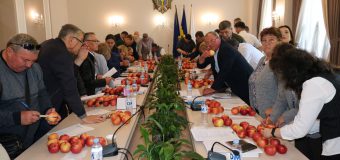 Inspectorii ANSA mai competenți în evaluarea conformității fructelor și legumelor proaspete