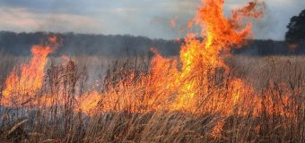 Pompierii îndeamnă oamenii să respecte regulile antiincendiare
