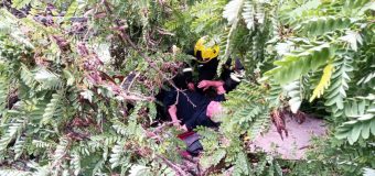 Un bărbat, rămas blocat sub un arbore doborât, a fost salvat de IGSU