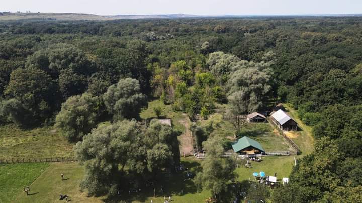 „Glodeni Art-Fest” revine la „Pădurea Domnească”. Ce pregătesc organizatorii