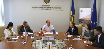 Ministrul Agriculturii și Ambasadorul UE au discutat despre securitatea alimentară a țării
