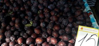 (GALERIE FOTO) Provizii pentru iarnă? Cât trebuie să scoateți din buzunar pentru a procura fructele și legumele necesare