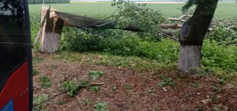 (FOTO) Salvatorii au intervenit în nodrul țării pentru a lichida consecințele ploilor torențiale