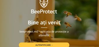 A fost lansată aplicația „Beeprotect”