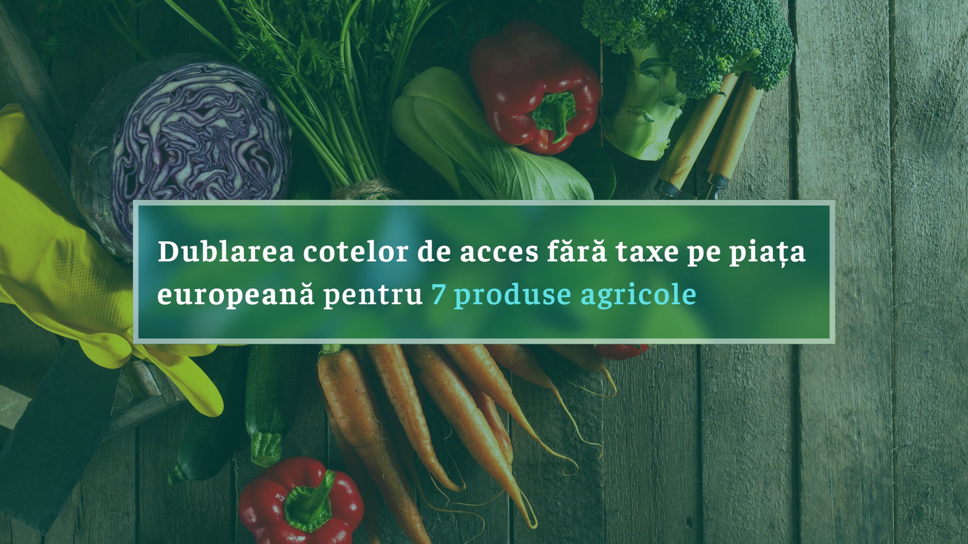 Au fost dublate cotele de acces pentru produsele agricole moldovenești