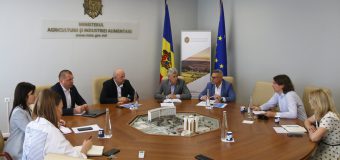 Banca Mondială va finanța un nou proiect în domeniul agricol pentru a spori competitivitatea