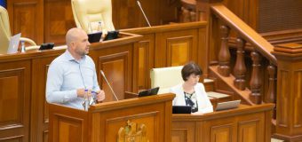 A fost modificată procedura de înregistrare a medicamentelor de uz veterinar