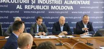 Discuții la MAIA cu Camera de Comerț și Industrie a R. Moldova privind posibilitățile de a oferi sprijin agricultorilor