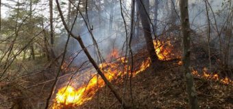 Alertă! Pericol excepțional de incendiu