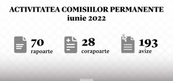 INFOGRAFIC: Activitatea comisiilor permanente ale Parlamentului în luna iunie, în cifre