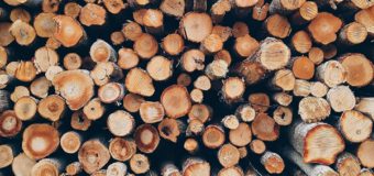 Prețul la lemnul de foc nu va fi majorat de către Guvern