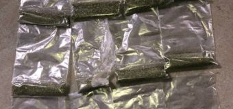 Marijuană în valoare de circa 150 de mii de lei – scoasă din circuit