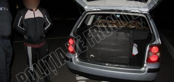 Polițiștii de frontieră l-au văzut cum încărca țigările în mașină, iar șoferul spune că nu știe ale cui sunt
