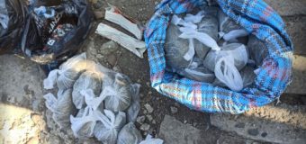 Pungi pline cu substanțe narcotice și p seră cu cânepă depistate de polițiști în sudul țării