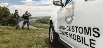 Controale la un parc de dezmembrări auto: ofițerii vamali au identificat alte 23 autoturisme cu numere străine