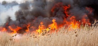 O nouă avertizare din partea IGSU