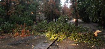 (FOTO) Ploaia de ieri a făcut ravagii în Capitală. Copaci rupți, străzi inundate, mașini avariate