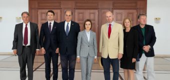 Șefa statului a discutat despre situația din regiune cu un grup de parlamentari britanici