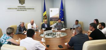 Ședință la MAIA cu ANSA și crescătorii de porcine