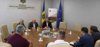 Producători agricoli din UTA Găgăuzia la discuții cu ministrul Agriculturii