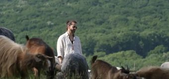 (VIDEO) Pasha Parfeni a fost pentru o zi cioban la oi