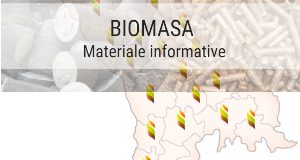 AEE informează despre potențialul centralelor termice pe biomasă și capacitățile de producere a biocombustibilului solid (pelete, brichete) în Republica Moldova