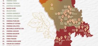 O mare parte din vinăriile din țară sunt situate în regiunea cu indicație geografică protejată Codru