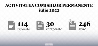 INFOGRAFIC: Activitatea comisiilor permanente în luna iulie, în cifre