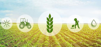 211 dosare pentru solicitarea subvențiilor în avans pentru îmbunătățirea nivelului de trai și muncă în mediul rural în sumă de 245,96 mln. lei