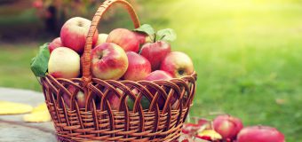 Moldovafruct cere intervenția autorităților: Din 255 mii tone de mere, în 2021, peste 230 mii au fost livrate în Rusia…