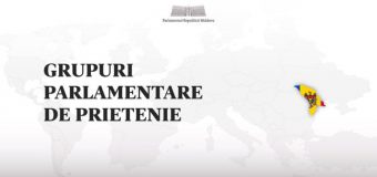În Parlament sunt constituite 50 de grupuri parlamentare de prietenie cu alte țări