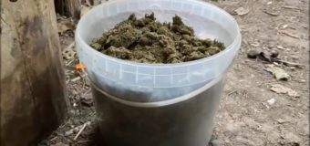 Un bărbat din Soroca comercializa „marijuana”
