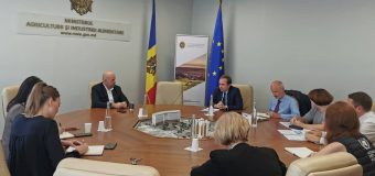 FAO propune crearea unui Fond pentru Investiții și Inovații Climaterice