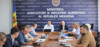 Dezvoltarea sectorului de producere a materialului săditor – analizată la MAIA