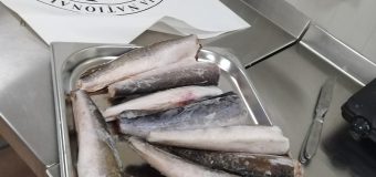 (FOTO) Un lot de pește contaminat cu paraziți a fost depistat de ANSA
