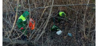În Capitală începe tradiționala salubrizare de toamnă