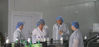 Secretarul de stat al MAIA a mers la fabrica de procesare a laptelui „Sana” din Comrat