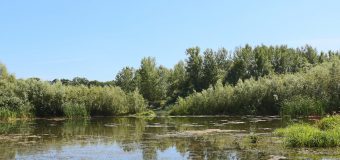 Ecosistemul râului Prut va fi revitalizat cu suportul PNUD și GEF