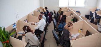 080010101 – linia verde guvernamentală unde cetățenii pot afla informații despre lemnele de foc
