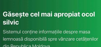 Site-ul lemne.md a fost lansat